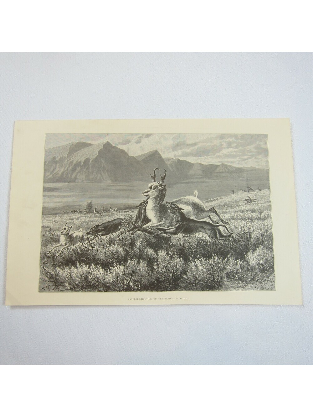 Antique 1874 Engraving Print Antelope-Hunting on the Plains, WM Cary, The Aldine